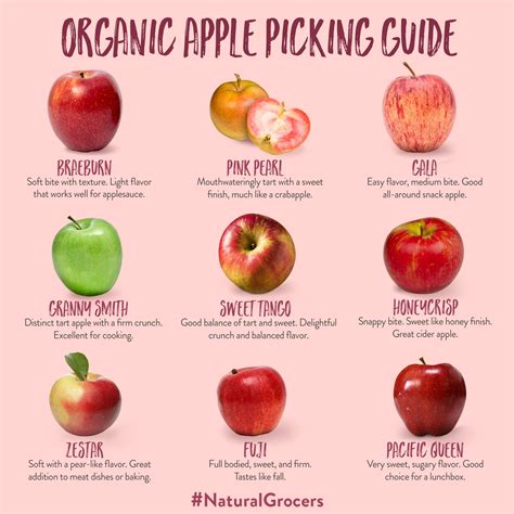 Organic Apple Picking Guide | Apple picking, Natural grocers, Apple recipes