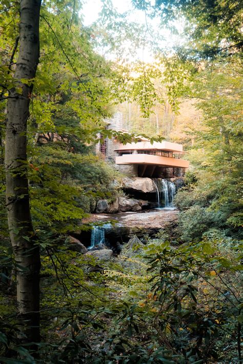 fallingwater house