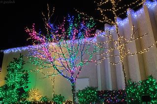 lights 4 | While these are pretty lights on the tree, they a… | Flickr