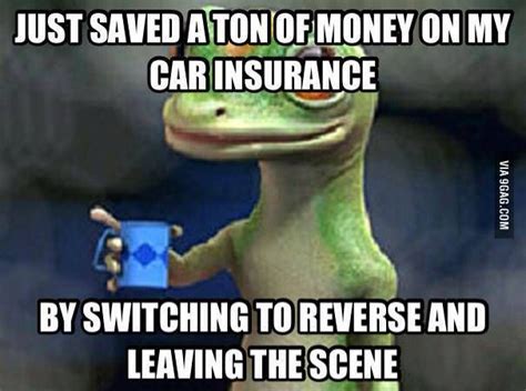 View 16 Funny Geico Memes - activemeukpics