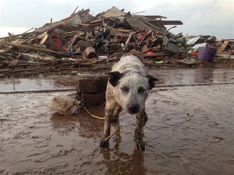 Picture taken immediately after the deadly EF5 tornado in Moore, Oklahoma on May 20, 2013 of a ...