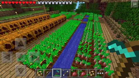 Chances of getting beetroot seeds? - MCPE: Discussion - Minecraft: Pocket Edition - Minecraft ...