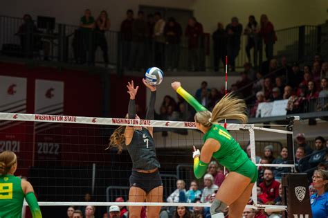 WSU volleyball: by the numbers – The Daily Evergreen