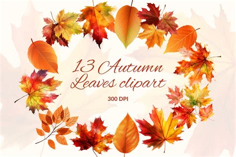 13 Autumn Leaves Png Graphic by LaxmiOwl · Creative Fabrica