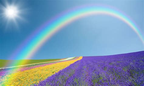 Wallpaper Desktop Rainbow