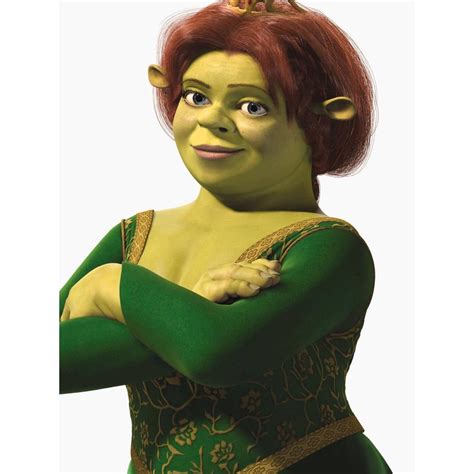 Princess Fiona Costume - Shrek Fancy Dress Ideas