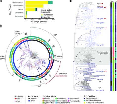 Distribution and classification of phage-encoded sigma factors. (a)... | Download Scientific Diagram