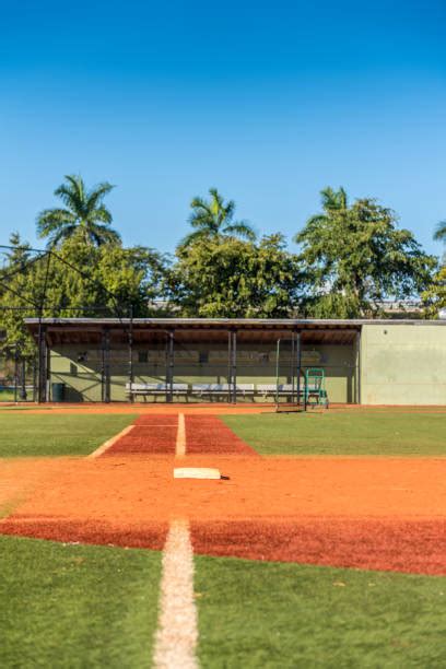 Baseball Field Grass Designs Stock Photos, Pictures & Royalty-Free Images - iStock