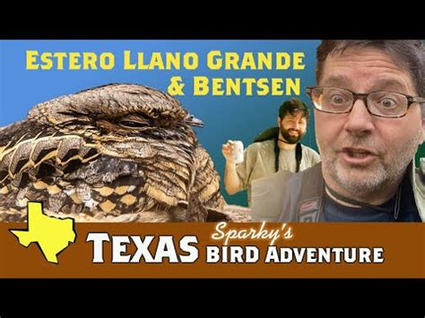 TX Birding/Bird Photography: Estero Llano Grande & Bentsen: Part 1 Rio ...