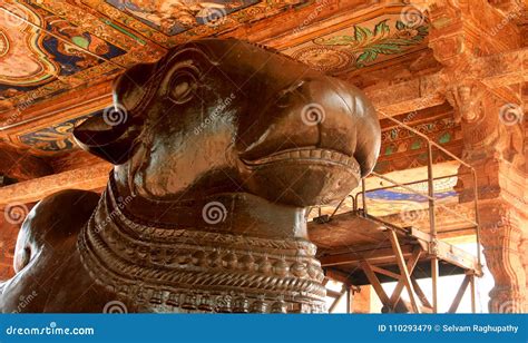 The Great Bull -nandhi- Statue of the Ancient Brihadisvara Temple in ...