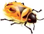 Firebug 1.5 – Norman's Blog
