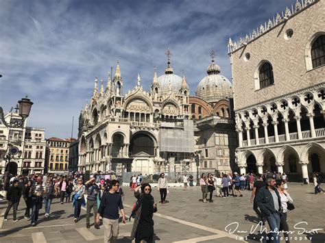 The Piazza San Marco & Basilica