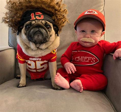 Pugtrick Mahomes and Candy Reid : r/funny