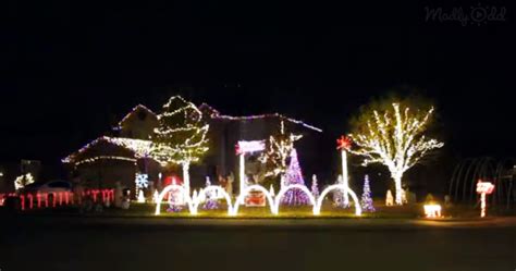 Homeowner Sets Christmas Lights To Viral ‘Baby Shark’ Song —And We Can’t Look Away