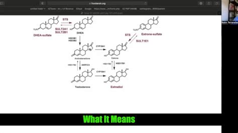 When You Have Low DHEA and Normal DHEA-s - YouTube