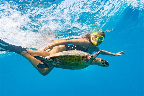 25 Best Snorkeling Spots in Oahu, Hawaii (with Map) - TourScanner