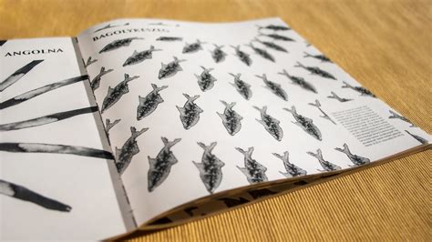 Fish book :: Behance