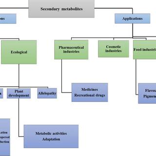 Functions and applications of secondary metabolites | Download ...