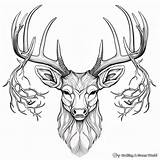 Mule Deer Coloring Pages  Free & Printable sketch template