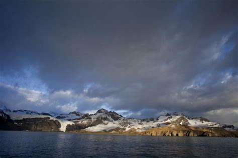 Close-up of the eye of a seal with reflection of photographer and glacier | Gold Harbour ...