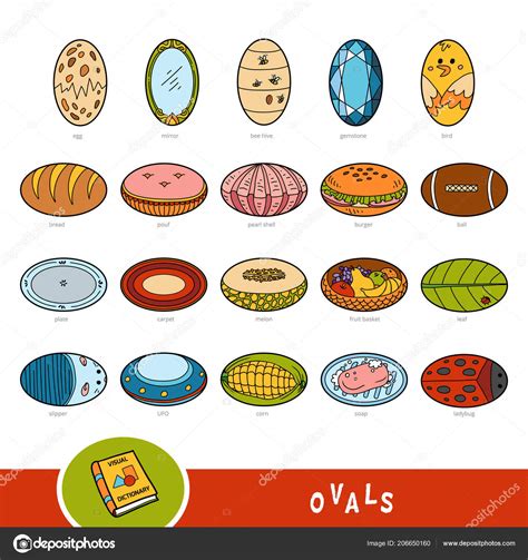 Colorful Set Oval Shape Objects Visual Dictionary Children Geometric Shapes Stock Vector Image ...