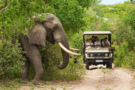 Afrique du Sud : des expériences de voyage inoubliables