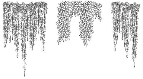 CAD drawings details of hanging shrubs 2d view dwg file - Cadbull