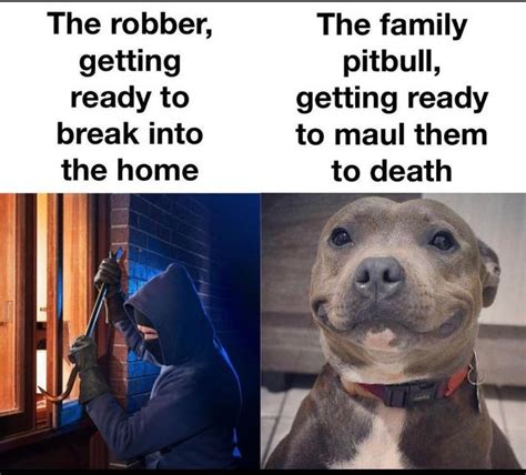 Good doggo - Meme by mafiadax :) Memedroid