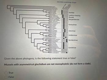 Answered: True False Glochidia morphology (shape)… | bartleby