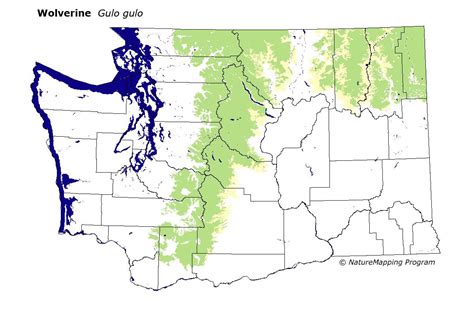 Distribution Map - Wolverine (Gulo gulo)