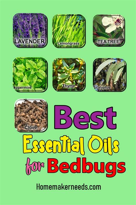 Best Essential Oils For Bedbugs! in 2020 | Best essential oils, Bed bugs, Essential oils