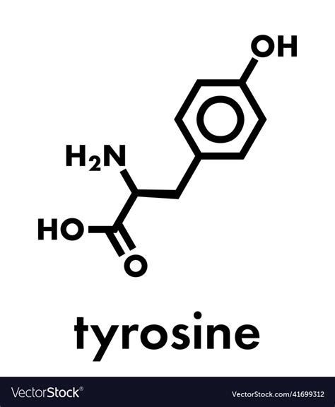 Tyrosine l-tyrosine tyr y amino acid molecule Vector Image