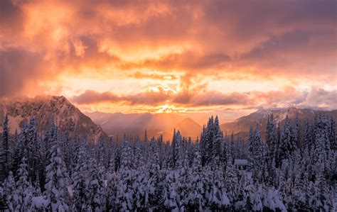 Exploring Mount Rainier in the Winter - Travel and Photography Guide