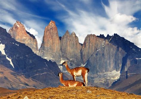 13 Best Hikes and Treks in Chile | PlanetWare