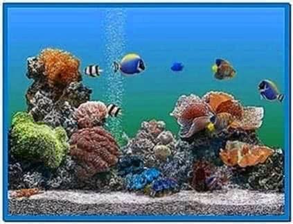 Animated 3D Aquarium Screensaver - Download-Screensavers.biz