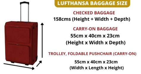 Discover Lufthansa Baggage Allowance & Fees (Latest 2024)