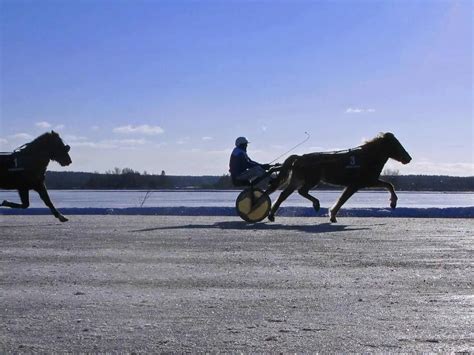 12 Most Beautiful Lakes in Lithuania in 2023 - Baltic Gently