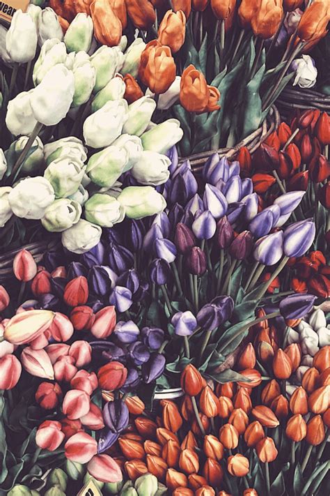 97 Background Flower Aesthetic Picture - MyWeb