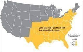 map of Lone Star Tick | Knoxville Pediatric Associates, P.C.