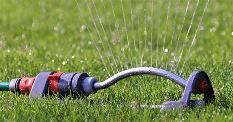 How Long to Water Lawn with Oscillating Sprinkler vs. Other Types