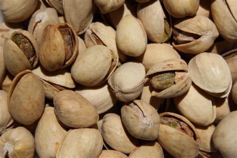 Pistachio Nuts – Free High Resolution Photo – Photos Public Domain