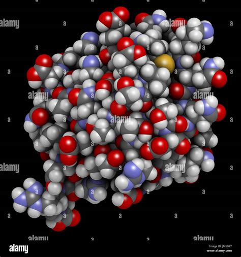 Ubiquitin protein molecule. Molecular tag that indicates proteins marked for recycling. Space ...