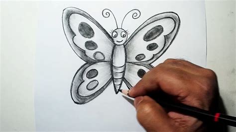 Butterfly Shading Drawing