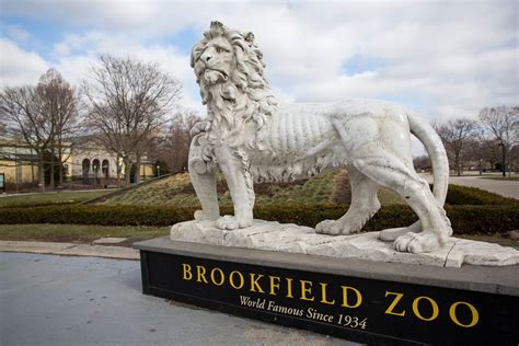 Brookfield Zoo to temporarily close beginning Jan. 1 - Chicago Sun-Times