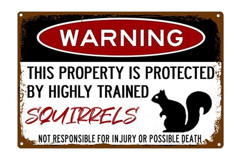 Buy Warning Squirrel Sign Funny Metal Tin Sign, Protected by Squirrels Warning Sign, Beware of ...