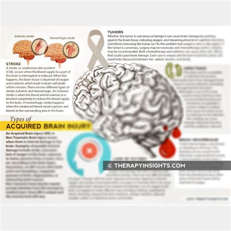 Types of Acquired Brain Injury – Therapy Insights