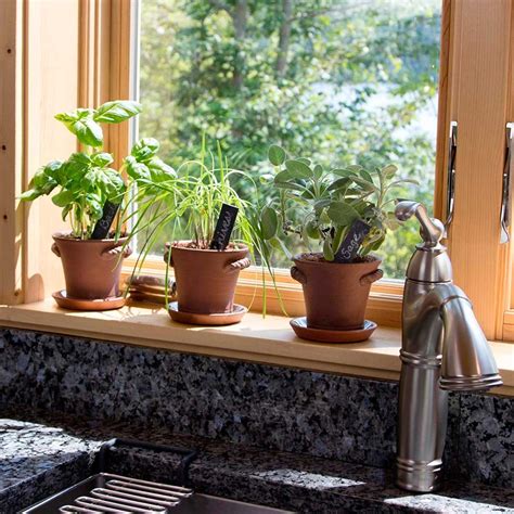 10 Best Herbs Grow In Indoor Pots In Your Kitchen Garden Windowsill ...