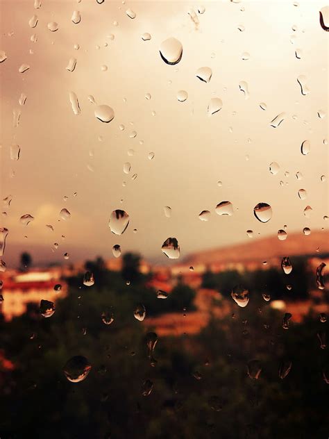 HD wallpaper: water dew, rain, window, water on glass, drop, wet, glass - material | Wallpaper Flare