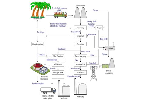 Palm Oil Production Process Flow Chart