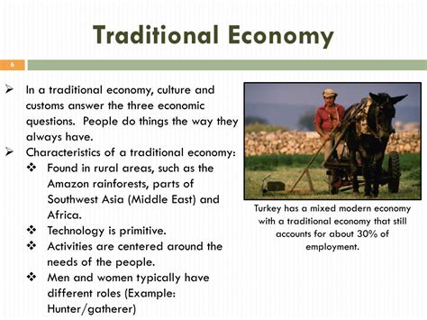 Traditional Economy